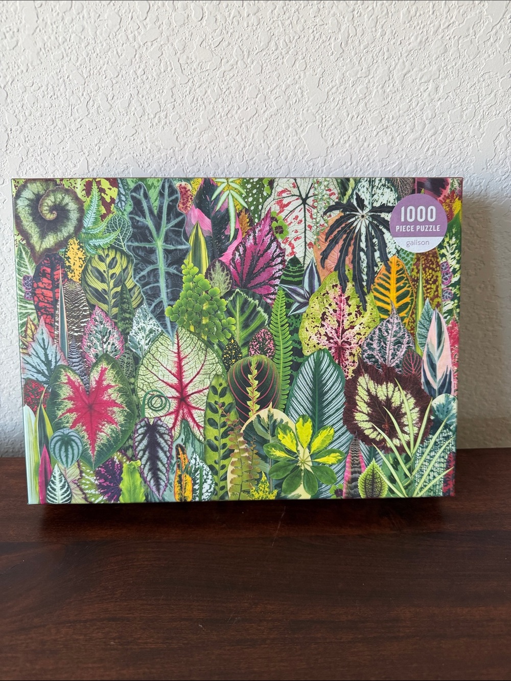 Galison 1000 piece puzzle “Houseplant Jungle” NEW